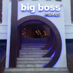 Big Boss Concept